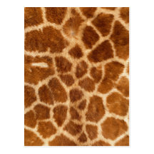 Fuzzy Giraffe Fur Pattern Postcards