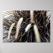 Fuzzy Poster