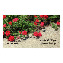 G006 BIZ - Painted Red Verbenas Business Card