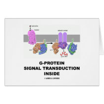 G-Protein Signal Transduction Inside