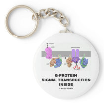 G-Protein Signal Transduction Inside