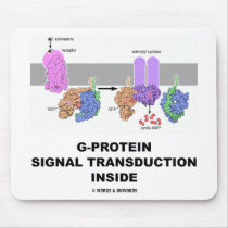 G-Protein Signal Transduction Inside