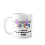 G-Protein Signal Transduction Inside Coffee Mugs