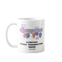 G-Protein Signal Transduction Inside Coffee Mugs