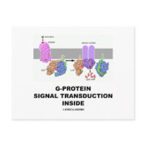 G-Protein Signal Transduction Inside