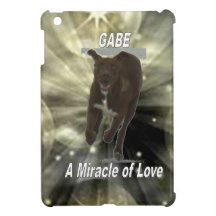 Gabe, A Miracle of Love iPad Mini Covers