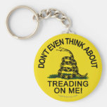 Gadsden Flag updated Keychain