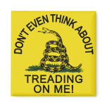 Gadsden Flag updated Magnet
