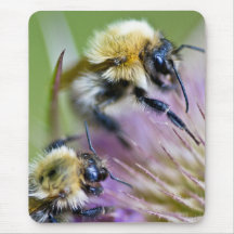 Gaffez l'abeille sur la fleur sauvage tapis de souris