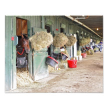 Gagnant de Kentucky Derby "globe" comme 2 années.  Photo D’art