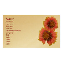 Gaillardia (Blanket Flower) Business Card