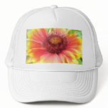 Gaillardia Bloom Up Close Mesh Hat