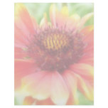 Gaillardia Bloom Up Close Letterhead Design