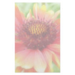 Gaillardia Bloom Up Close Stationery