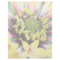Gaillardia Pulchella Letterhead Template