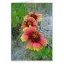 Gaillardia Wildflower (Blanket Flower) Tote Bag Greeting Cards