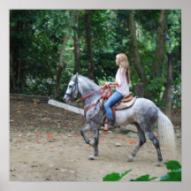 Gaited Paso Fino Poster