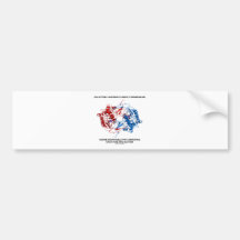 Galactose-1-Phosphate Uridylyltransferase Enzyme Bumper Sticker