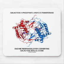 Galactose-1-Phosphate Uridylyltransferase Enzyme Mouse Pad