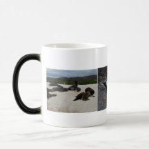 Galapagos Iguanas, Seals, and birds Coffee Mug