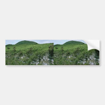 Galapagos Islands Bumper Stickers