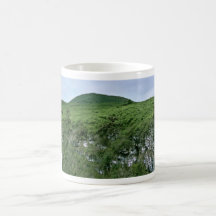 Galapagos Islands Coffee Mugs