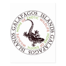Galapagos Islands Lizard Post Card