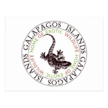 Galapagos Islands Lizard Postcard