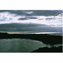 Galapagos Islands Photo Cut Outs