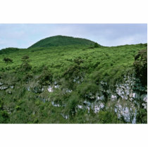 Galapagos Islands Cut Outs