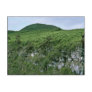 Galapagos Islands Postcard