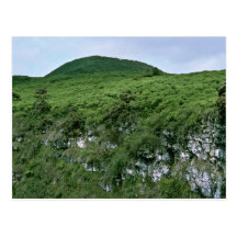 Galapagos Islands Postcard