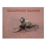 galapagos islands postcards