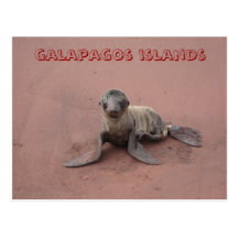 galapagos islands postcards
