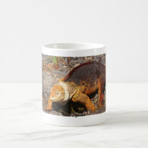 Galapagos Land Iguana Mug