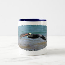 Galapagos Pelican Coffee Mugs