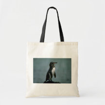 Galapagos' Penguin On Lava Rock Bags