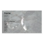 Galapagos' Penguin On Lava Rock Business Card Template
