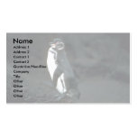 Galapagos' Penguin On Lava Rock Business Card Templates