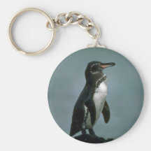 Galapagos' Penguin On Lava Rock Keychains