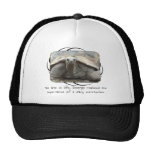 Galapagos Tortoise Hat