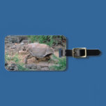 Galapagos Tortoise Luggage Tags luggage tags