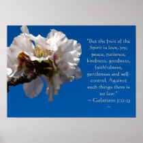 Galatians 5:22,23 Poster