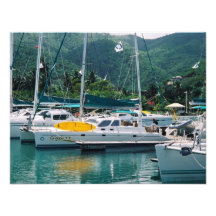 Galaxy at Nanny Cay-Tortola Invitation