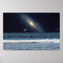 Galaxy Pelicans Print