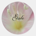 Gale Sticker