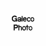 Galeco Photo Embroidered Polo Shirt