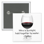 Galileo Wine Quote Pin