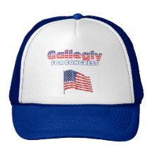 Gallegly for Congress Patriotic American Flag Desi Hats