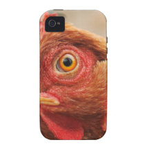 Gallina de granja iPhone 4 carcasas